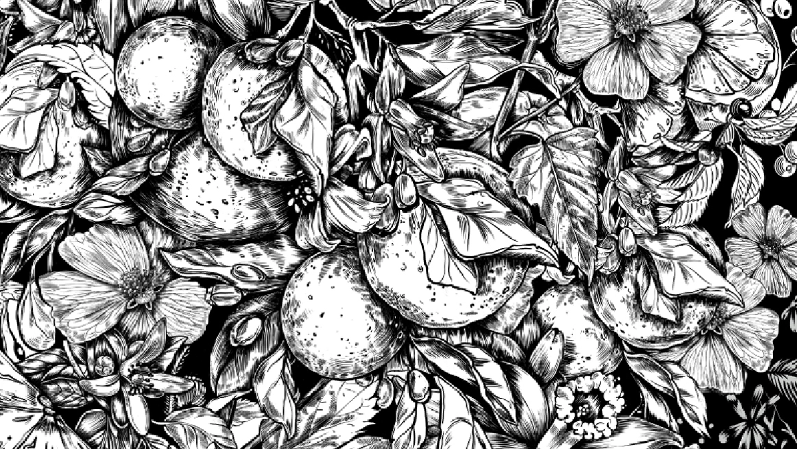 Maeutica Permanent Website
